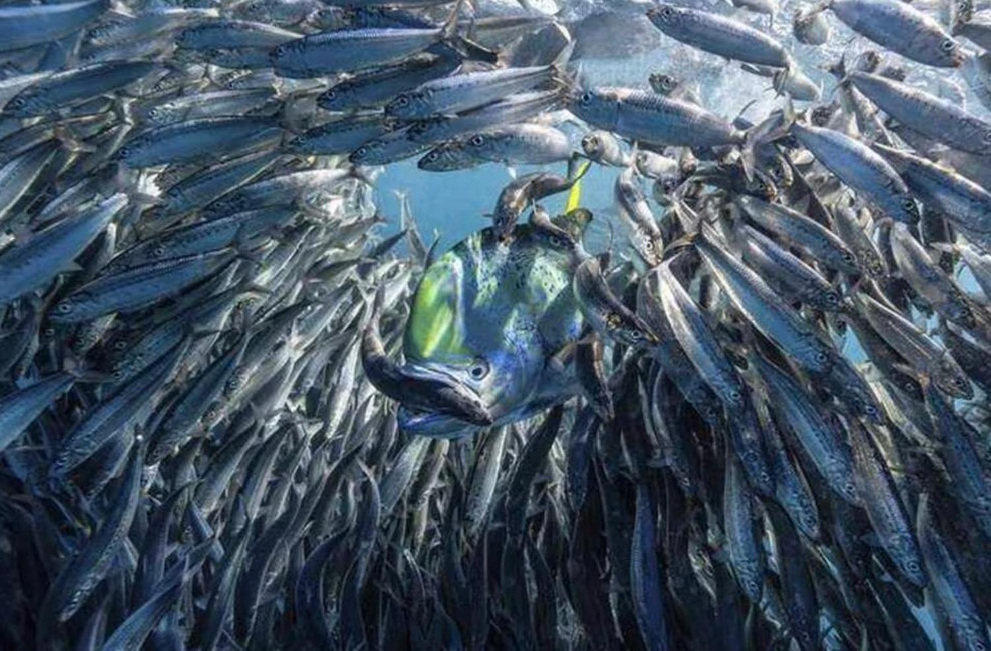 Vahaui Paradis Avatoru Bagian luar foto